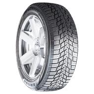 Ice Blazer WSTX