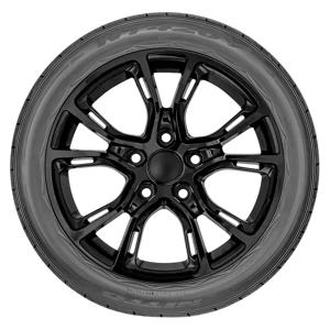 Nitto NT420V 295 /30 R22 103V XL BSW | Discount Tire