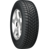 Champiro Winterpro 2
