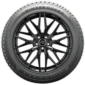 Milestar Winterguard 185 /55 R15 82T SL BSW | Discount Tire