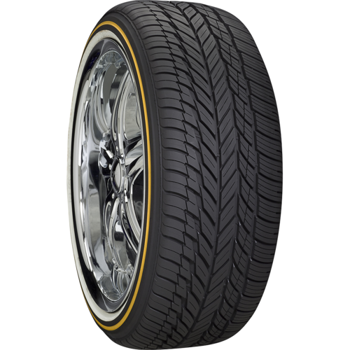 Custom Built Radial VIII