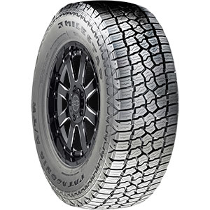 Patagonia A/T R