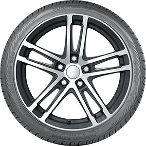 Nokian Surpass AS01 205 /45 R17 88W XL BSW | 215 /45 R18 93W XL