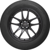SP10