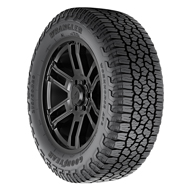 Wrangler Workhorse AT2