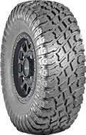 Trail Blade X/T SXS