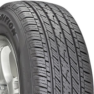 Arizonian Silver Edition 205 /55 R16 91H SL BSW | America's Tire