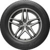AVID Touring S