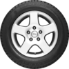 Altimax Arctic Studdable