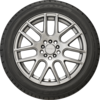 Proxes T1R