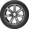 Winter i Pike RS W419 Studded