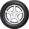 GT Radial Champiro Vp1 side product x-small 195  /55   R15    85H SL BSW