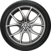 Ecsta STX