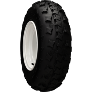 Fang Sport