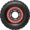 Fang Sport