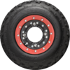 Fang Sport