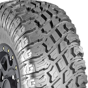 Trail Blade X/T SXS