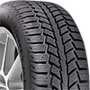 Tiger Paw Ice & Snow 2 Studdable