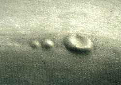Tire sidewall blister