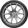Pilot Sport Cup
