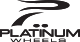 Platinum Logo
