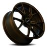 RS01