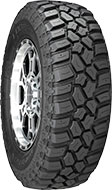 Evolution M/T