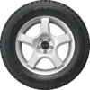 Champiro Winterpro 2