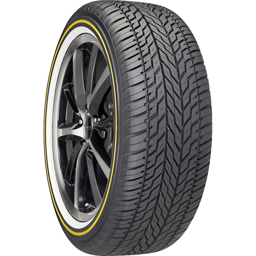 Custom Built Radial VIII