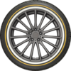 Custom Built Radial VIII
