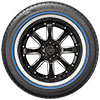 Custom Built Radial SCT2 Blue Stripe