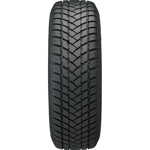 Champiro Winterpro 2