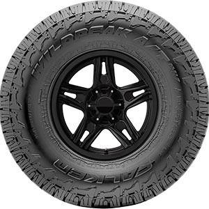 Falken Wildpeak A/T4W | Discount Tire