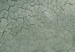 Ozone cracking/tire dry rot