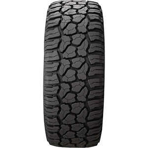 Wildpeak R/T01