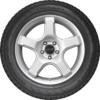 Nordman 5 Studded