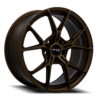 RS01