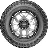Roadian MTX