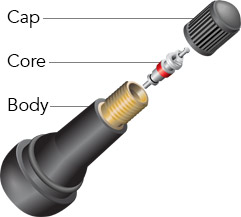 Valve stem diagram