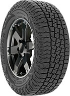 Discoverer Road + Trail AT