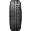 Long Trail T/A