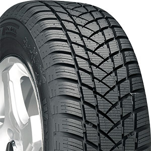 Tire GT | Champiro R15 BSW 2 /65 Discount 94T 205 Winterpro SL Radial