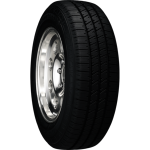 Transforce CV
