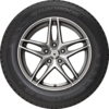 Winter i Pike RS W419 Studdable