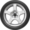 Ecsta LX Platinum