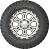 Evolution M/T
