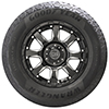 Wrangler Enforcer AT
