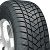 Champiro Winterpro 2