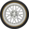 Custom Built Radial IX