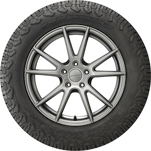 Nitto Nomad Grappler 255 /55 R20 110H XL BSW | America's Tire
